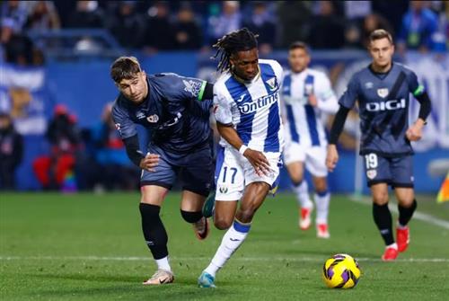 What's a Bingo Game?